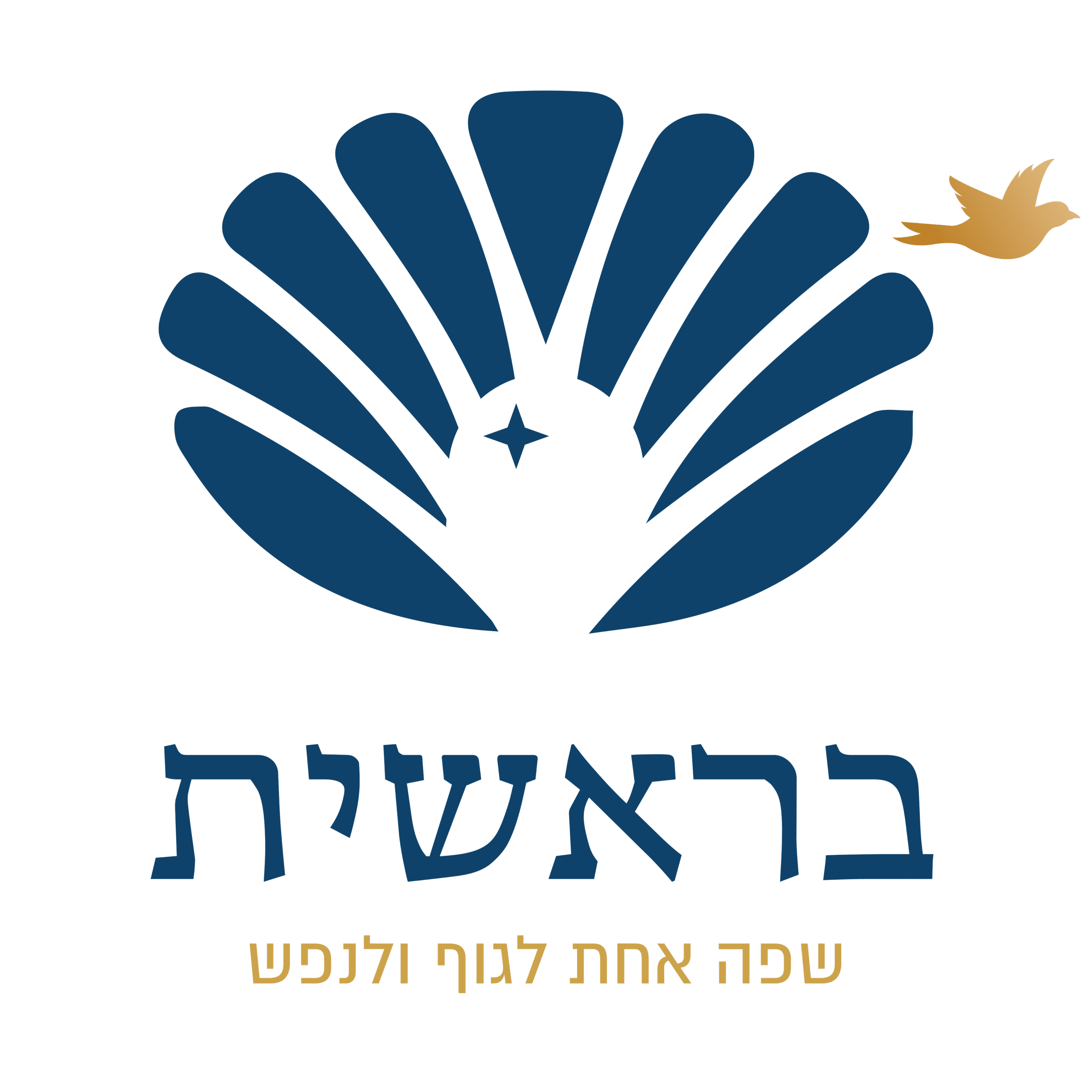 שיקוף
